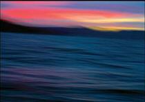 Wyland Galleries